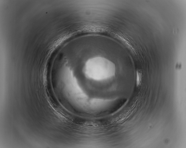 X0000100470627200806131128