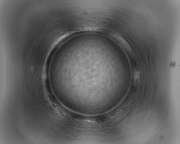 X0000100470628200806131128