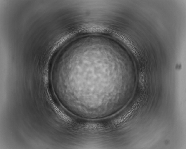 X0000100470629200806131128