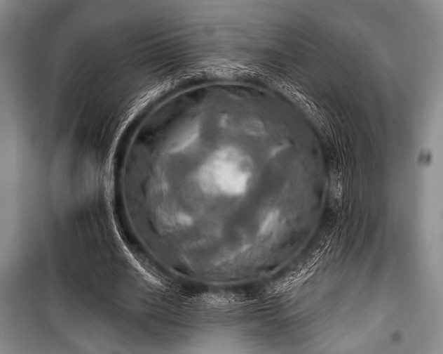 X0000100470630200806131128