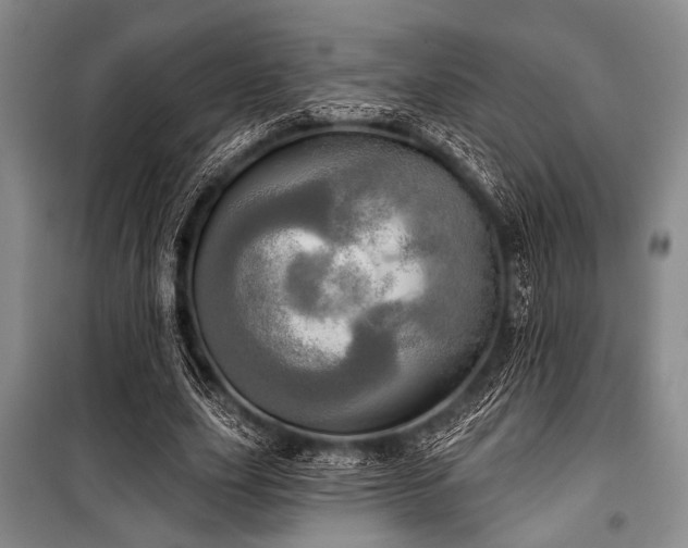 X0000100470631200806131128