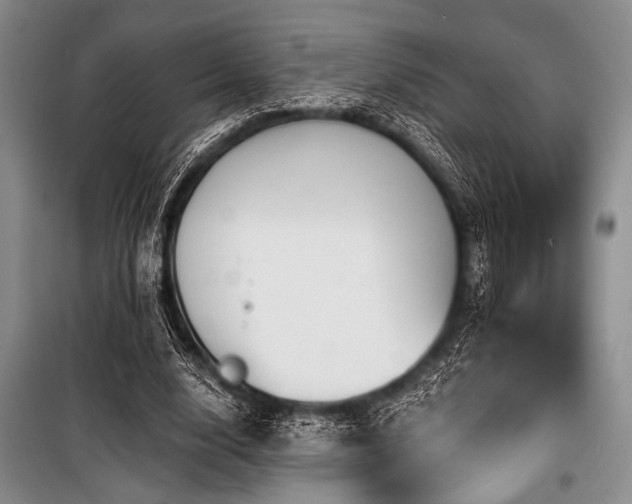 X0000100470632200806131128