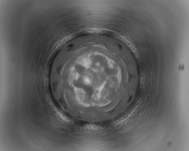 X0000100470633200806131128