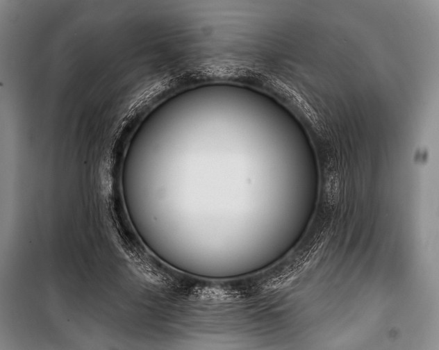 X0000100470635200806131128