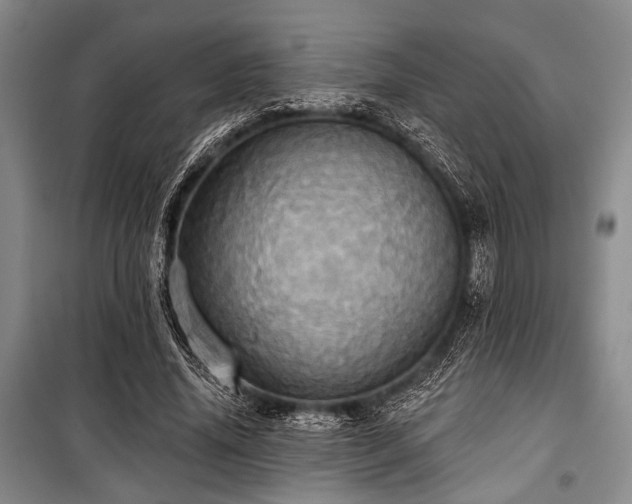 X0000100470636200806131128