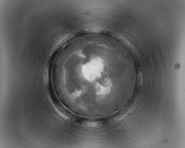 X0000100470638200806131128