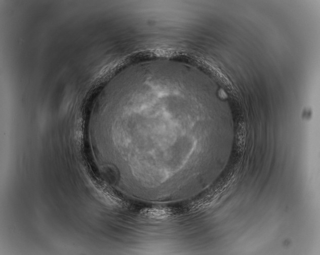 X0000100470639200806131128