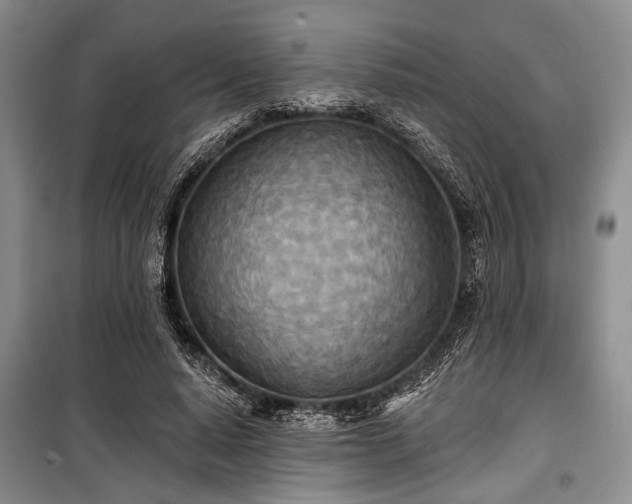 X0000100470640200806131128