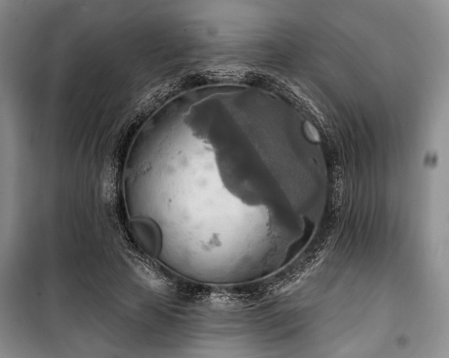 X0000100470641200806131128