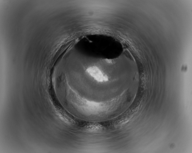 X0000100470642200806131128