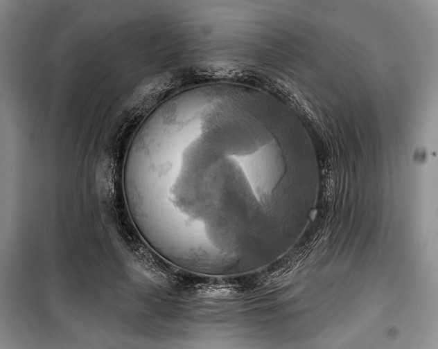 X0000100470643200806131128