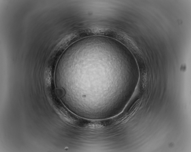 X0000100470644200806131128