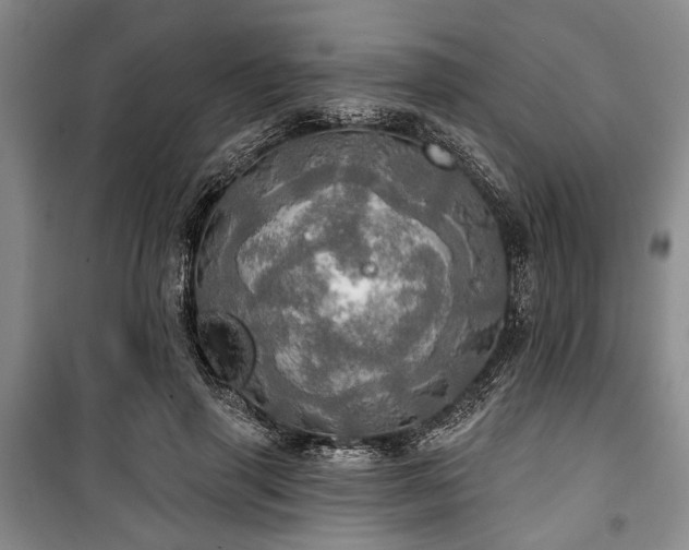 X0000100470645200806131128