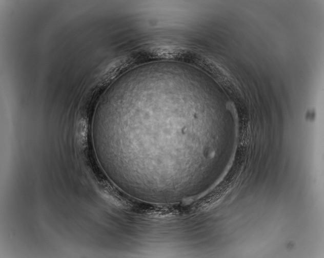 X0000100470646200806131128