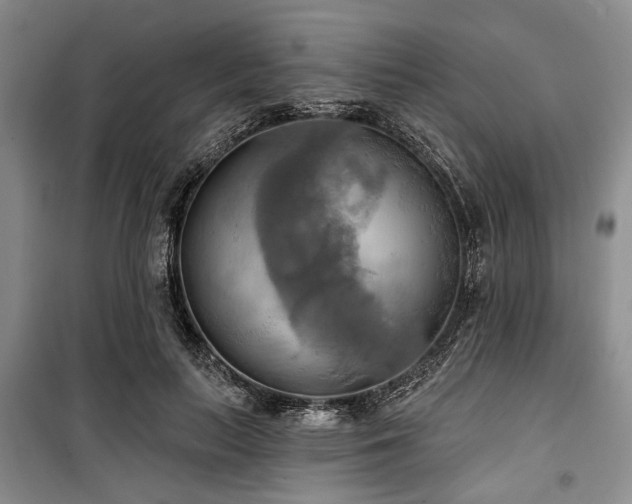 X0000100470647200806131128