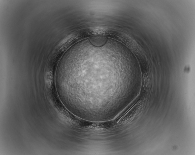 X0000100470648200806131128