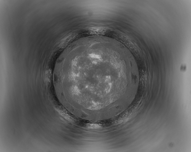 X0000100470649200806131128