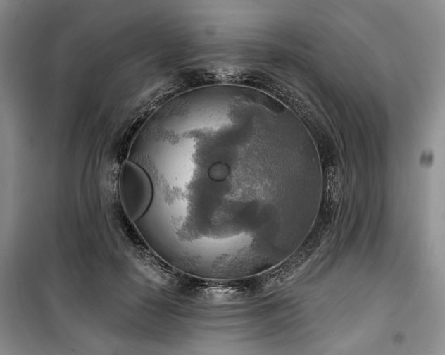 X0000100470650200806131128