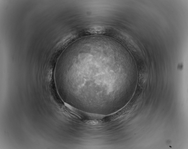 X0000100470652200806131128