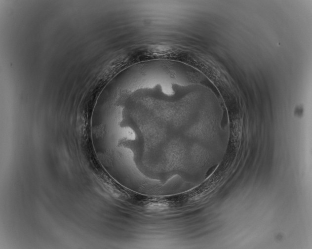 X0000100470653200806131128