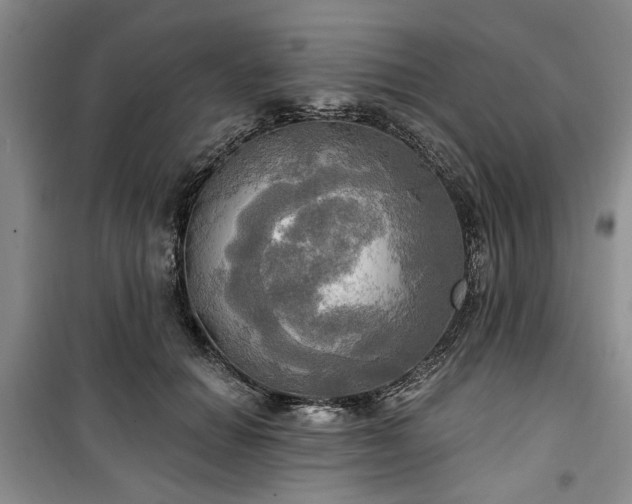 X0000100470654200806131128