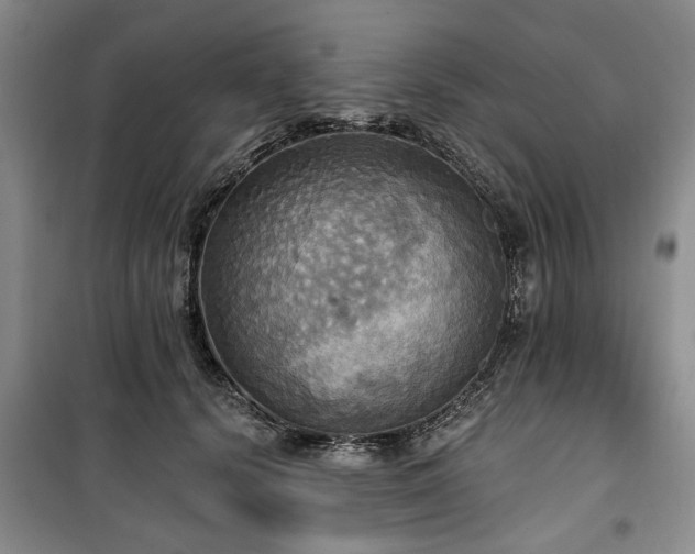 X0000100470656200806131128