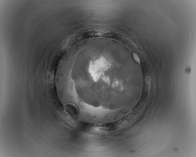 X0000100470657200806131128