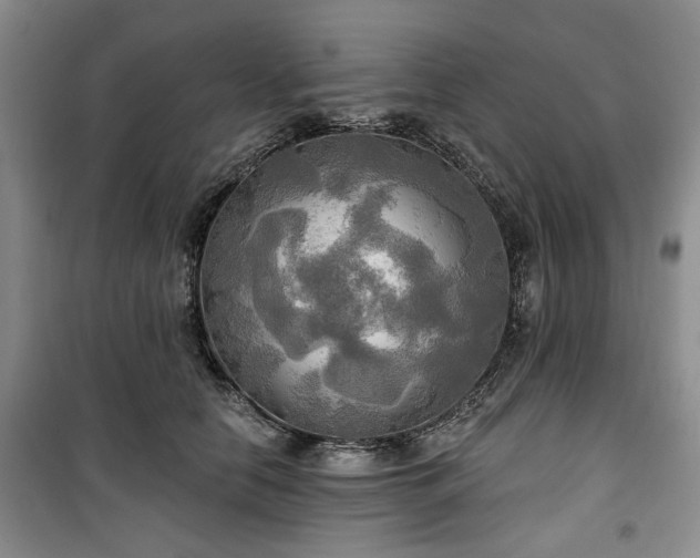 X0000100470658200806131128