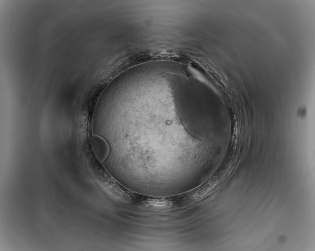 X0000100470659200806131128