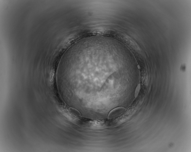 X0000100470660200806131128