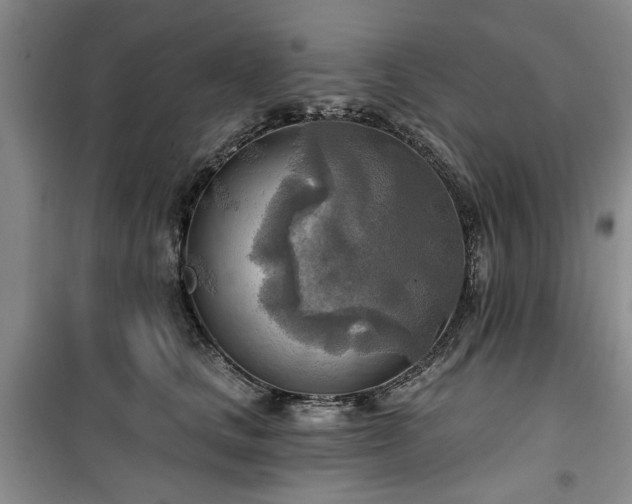 X0000100470661200806131128