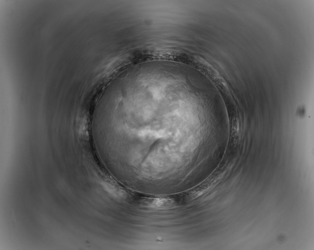 X0000100470663200806131128