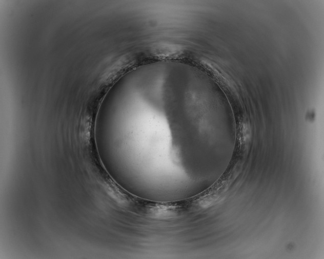 X0000100470664200806131128