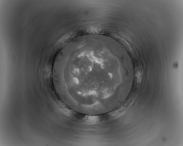 X0000100470665200806131128