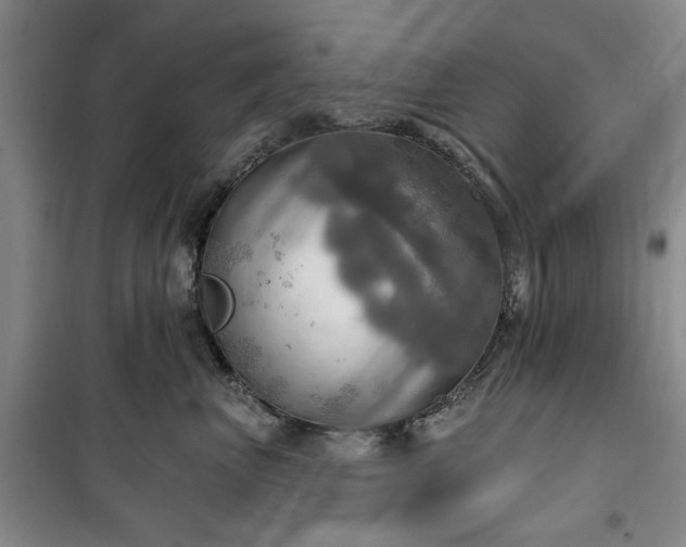 X0000100470667200806131128