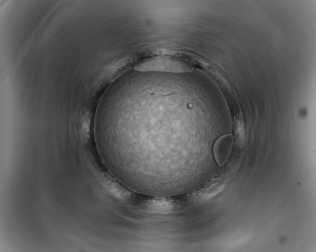 X0000100470668200806131128