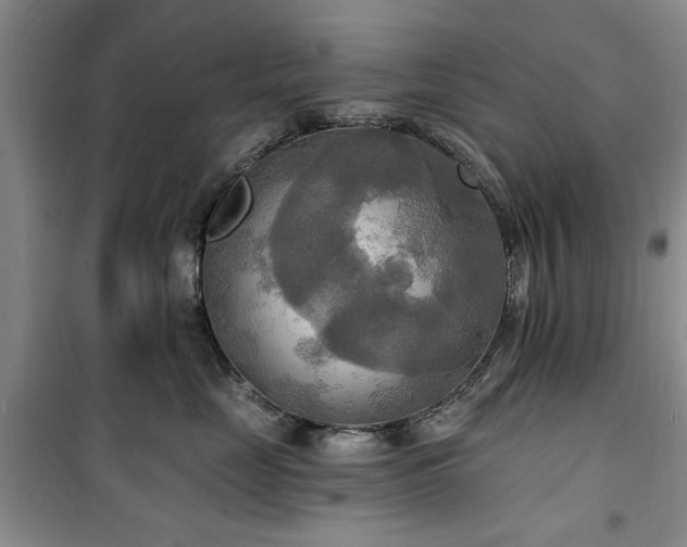 X0000100470669200806131128