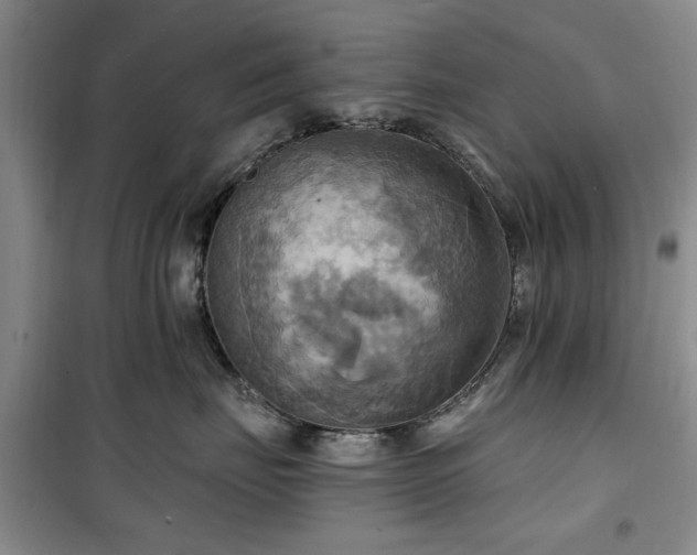 X0000100470671200806131128