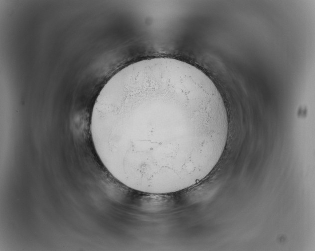 X0000100470672200806131128