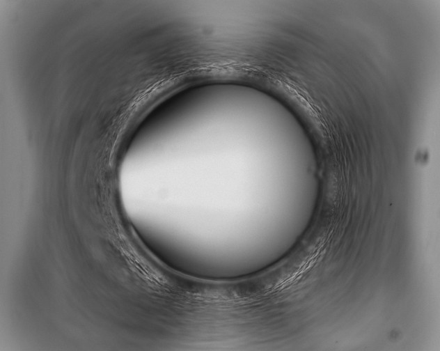 X0000100470673200806131128