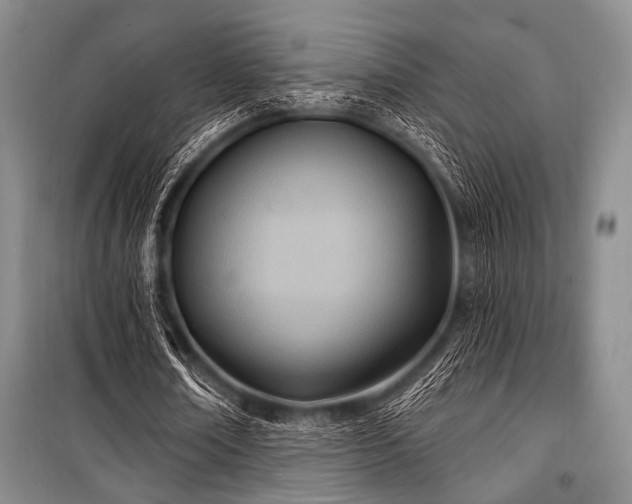 X0000100470674200806131128