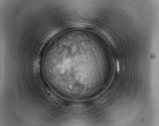 X0000100470675200806131128