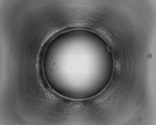 X0000100470676200806131128