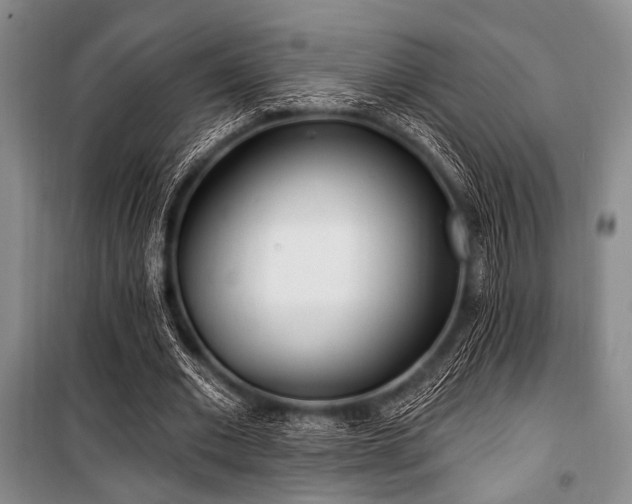 X0000100470677200806131127