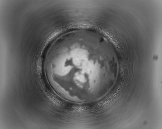 X0000100470679200806131127