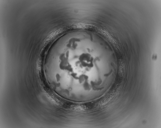 X0000100470683200806131127