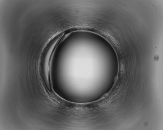 X0000100470684200806131127