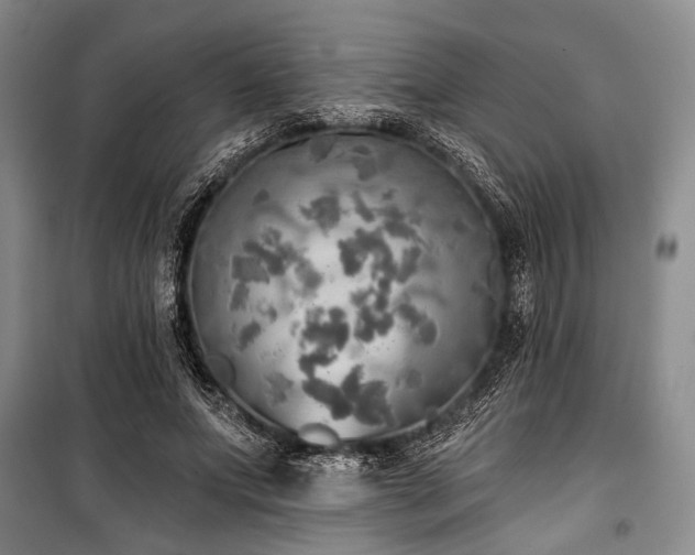 X0000100470687200806131127