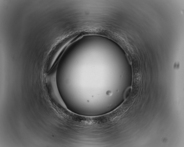 X0000100470688200806131127