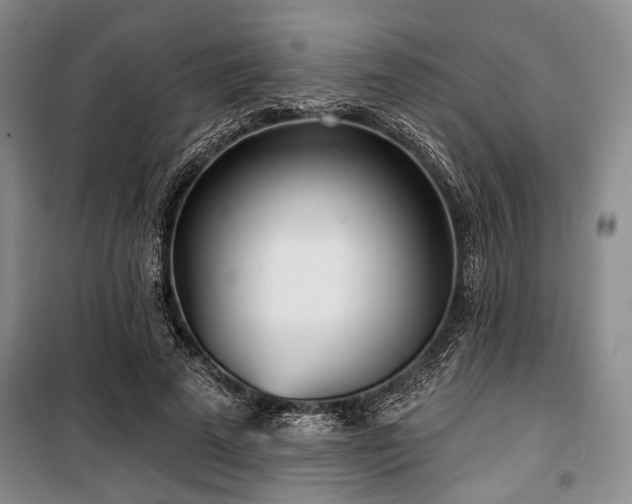 X0000100470689200806131127